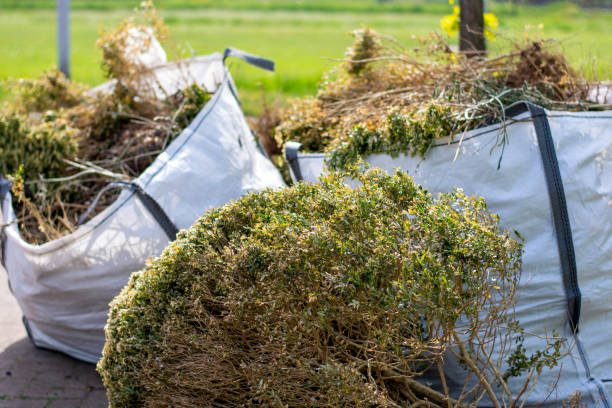 Shed Removal in Ashland, CA